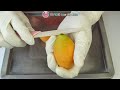 MAKE Sweet Yellow Marian Plum Ice Cream Rolls No Talk ASMR