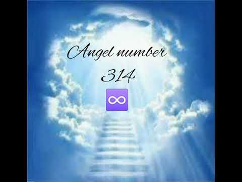 🕊️😇Angel number 314😇🕊️ (TIMELESS AUDIO)