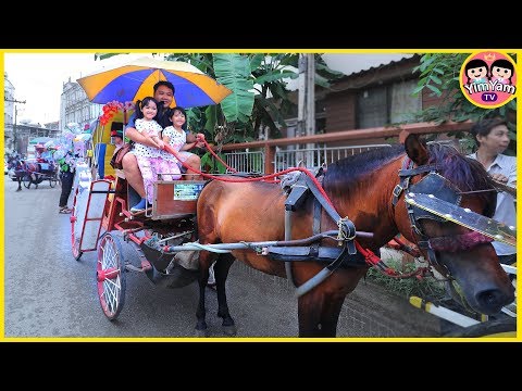 Horse-Drawn Carriage