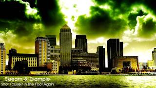 Skream &amp; Example - Shot Yourself In The Foot Again