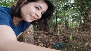 Download lagu Belajar Mancing🐟Aluh Pancing🐟 mp3