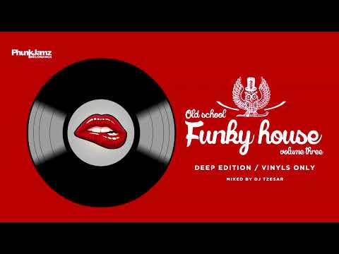 🌟 DEEP HOUSE CLASSICS & FUNKY HOUSE VINYL MIX 🌟 DJ TZESAR -  Old School Funky House #3