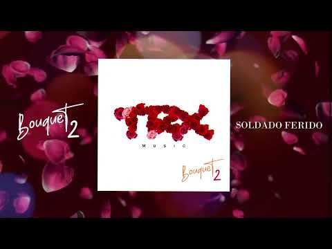 11. TRX Music - Soldado Ferido