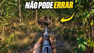 INSTINTO ANIMAL - CAÇADA DE JAVALI | JAVALI BRASIL