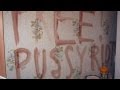 Free Pussy Riot Written In Blood At Murder Scene In Russia