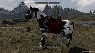 Линч - боевой конь мод на Skyrim