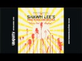 Shawn Lee's Ping Pong Orchestra - "Boss Bossa"