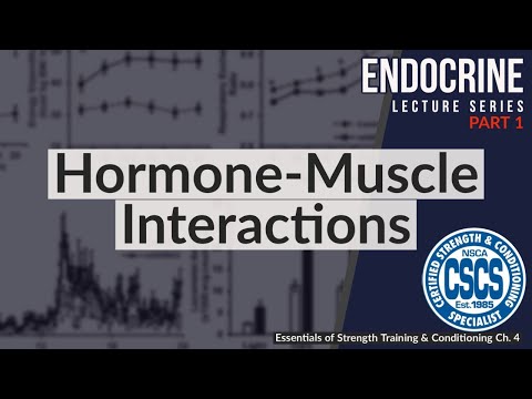 Hormone-Muscle Interactions | CSCS Chapter 4 thumbnail