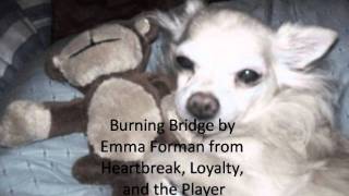 Burning Bridge by Emma Forman