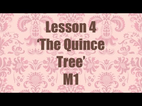 8ª série, lição 4 A árvore do marmelo