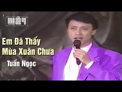 Em Đã Thấy Mùa Xuân Chưa (Quốc Dũng) — Tuấn Ngọc | Tình Khúc Bất Hủ Vượt Thời Gian