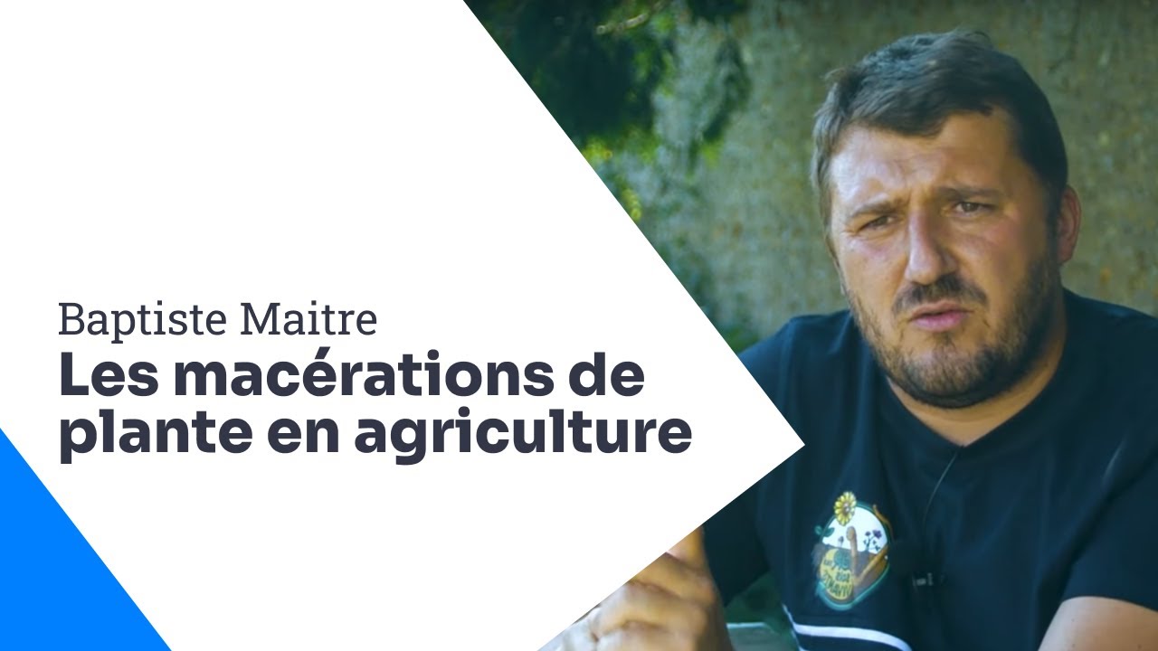 Pourquoi, comment, et retour d’expérience sur les macérations en grandes cultures, Baptiste Maitre