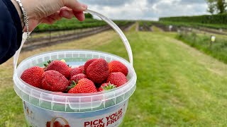 いちご狩りを楽しめるUKの春
