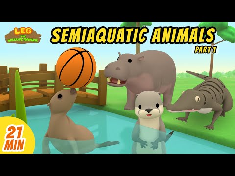 Semiaquatic Animals Minisode Compilation (Part 1/2) - Leo the Wildlife Ranger | Animation | For Kids