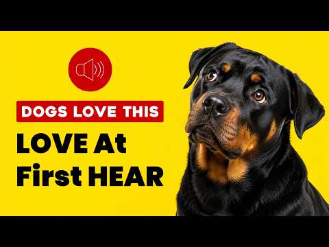 10 Sounds That Win Every Dog's HEART 🐶❤️
