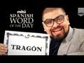 Spanish Word Of The Day Tragón