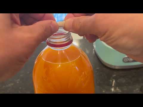 Machen Sie hochwirksamen probiotischen Saccharomyces boulardii-Sprudelsaft