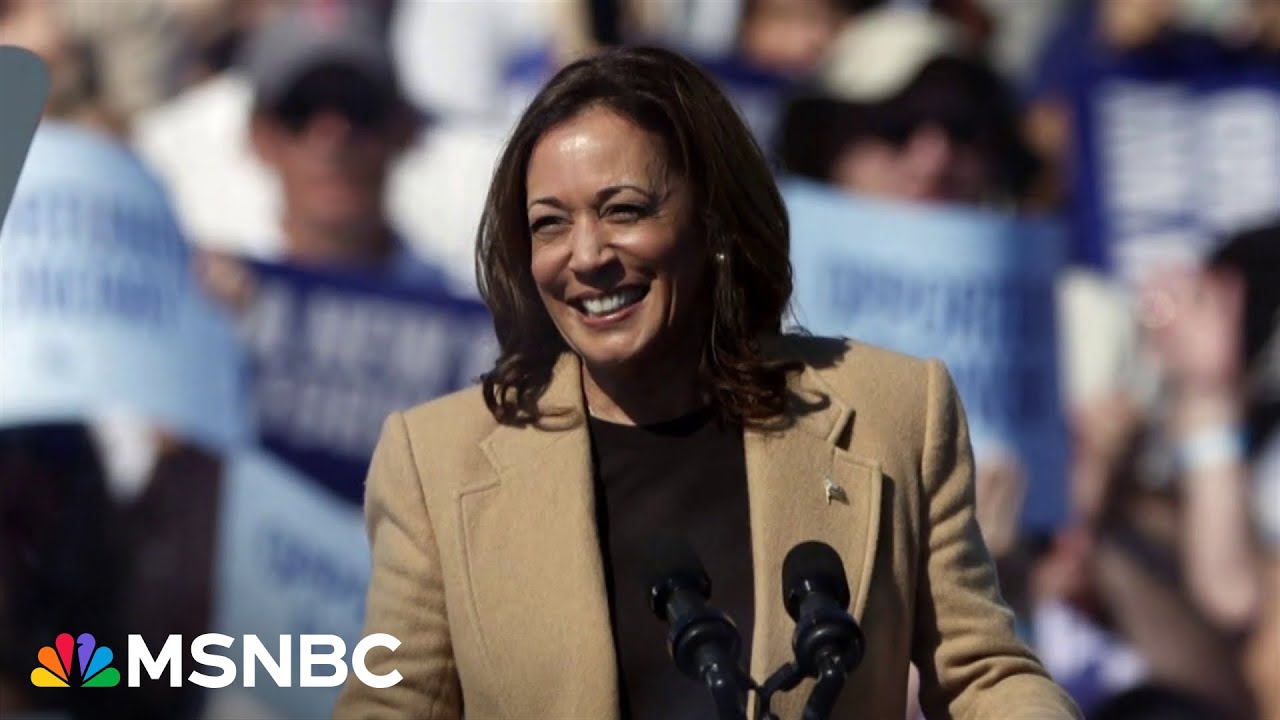 Dems follow Harris' lead to get under Donald Trump's skin