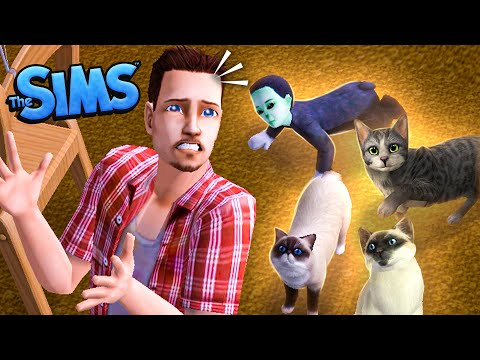 I forced my cats to make me tons of money and it went bad