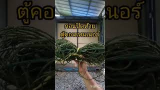 ใช้ตาข่าย