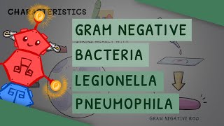 Gram Negative Bacteria: Legionella Pneumophila
