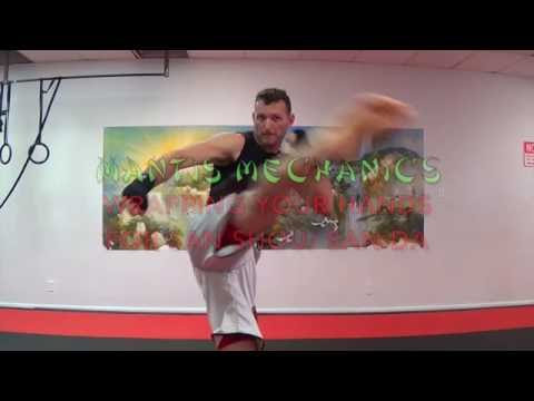 How to wrap your hands for san shou/sanda