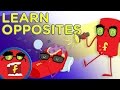 Fredbot Learns Opposites