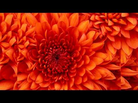 2 Pistols In My Bed (Feat. Verse Simmonds)