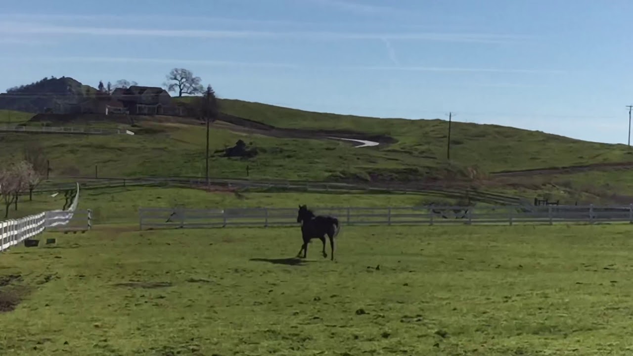 Our Ranch Song thumbnail