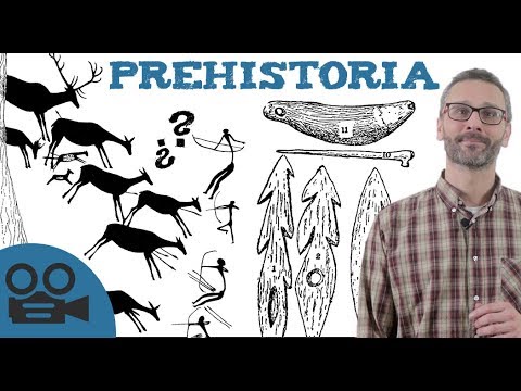 Periodos de la PREHISTORIA y sus características - [RESUMEN con VÍDEO!]