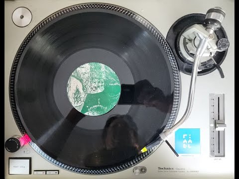 Caroliner Rainbow Susans And Bruisins – The Cooking Stove Beast