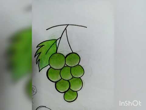 fruit art #srilekhaartandcraft  #youtubeshort