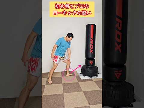 初心者とプロのローキックの違い！ #キックボクシング #ムエタイ #格闘技 #ローキック #shorts