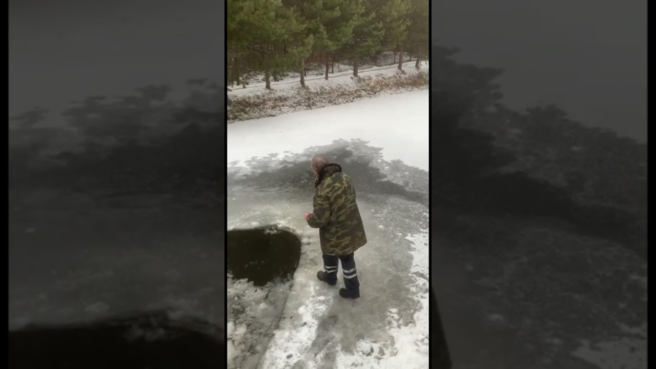 ��������� ����� �� ����� - ��� ������ ����