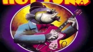 Hot Tuna - I See the Light / Sunny Day Strut (Live)