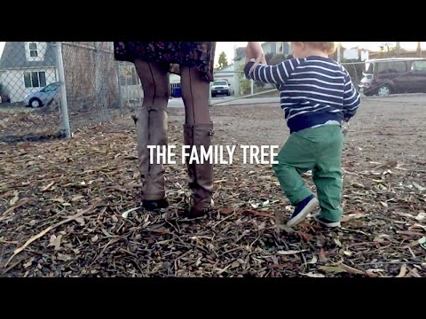 Unconditional Arms - The Family Tree Official Music Video