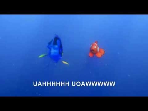 download lagu mp3 mp4 Finding Dory Subtitles, download lagu Finding Dory Subtitles gratis, unduh video klip Finding Dory Subtitles