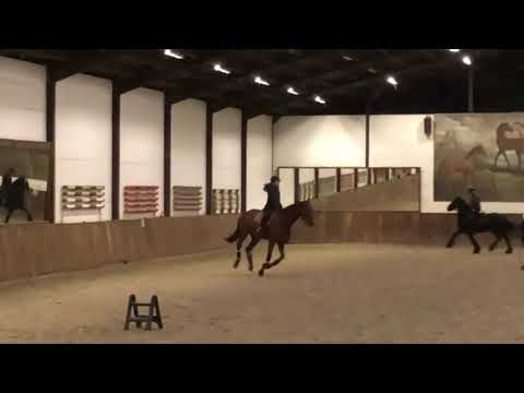 Caesar Z ☆ (CHAMAN x ZAPATERO VDL) - Video 3 video thumbnail