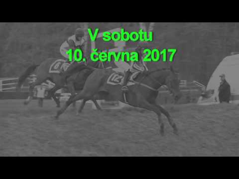 Pozvánka: 10. 6. 2017 Zlatý pohár Předsedy Poslanecké sněmovny Parlamentu ČR
