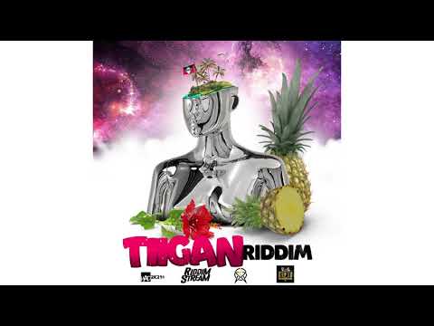 Tiigan Riddim Mix Dancehall Riddim Juggling