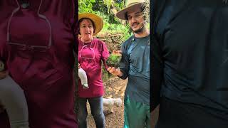 BROMÉLIAS TILLANDSIA