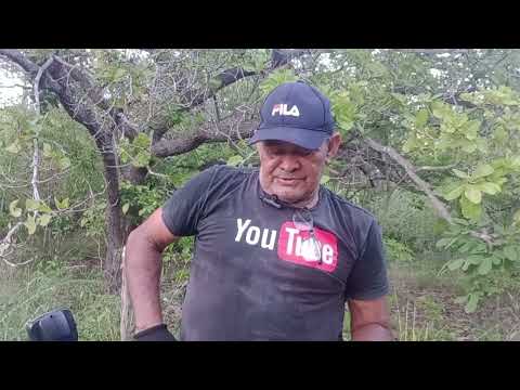 DETECTORISMO EM MONSENHOR GIL PIAUÍ 