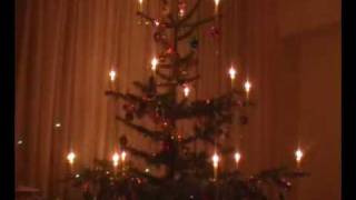preview picture of video 'Weihnachtsbaum'