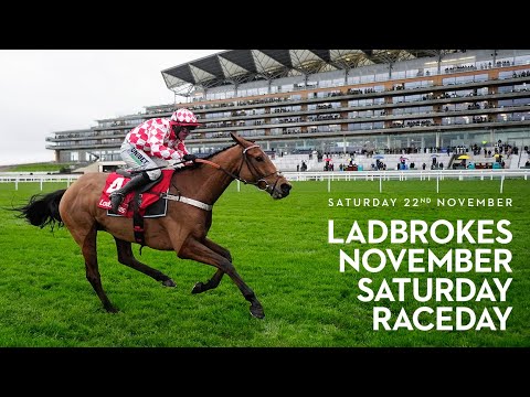 All Race Highlights | Ladbrokes November Racing Weekend - Saturday