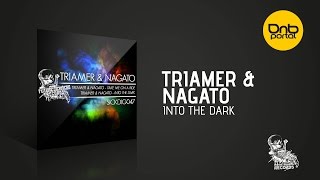 Triamer & Nagato - Into The Dark [Future Sickness Records]
