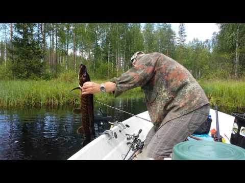 Jokihauki Pikku-Pahalla