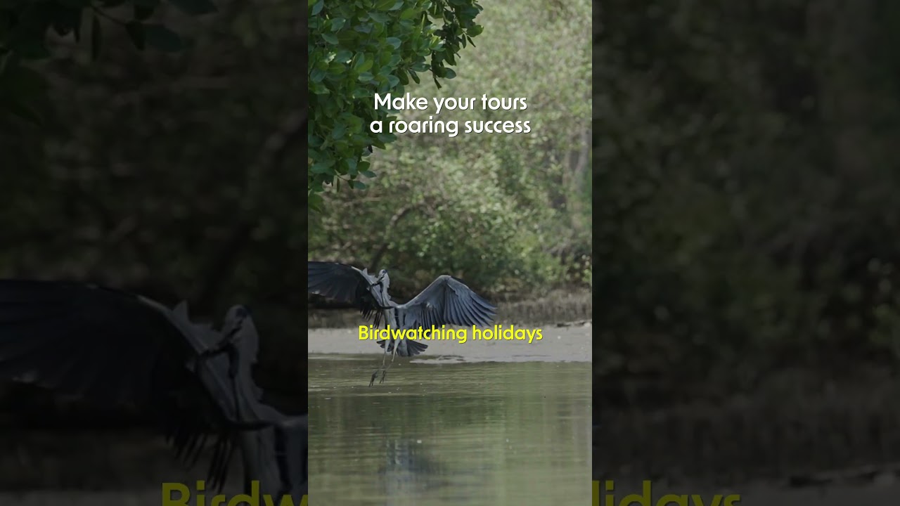 Wildlife Tourism in Kerala Thumbnail