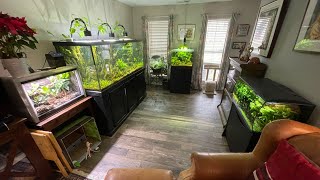All Enclosure Update Dec 2021