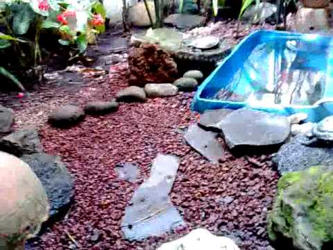 YouTube Video lDcFWjigELc