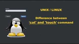 Difference between cat and touch | Linux | File and directory management